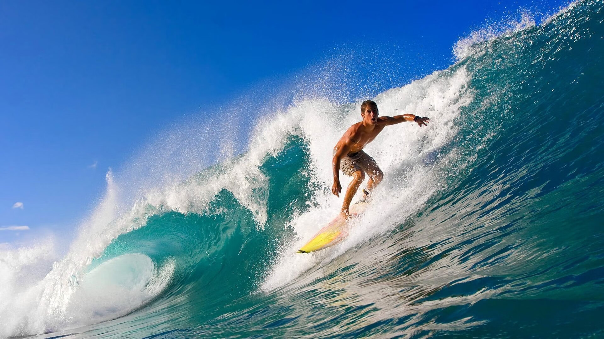 开云在线直播-伊朗马术协会设立“Chovgan”奖学金，支持传统马术研究。